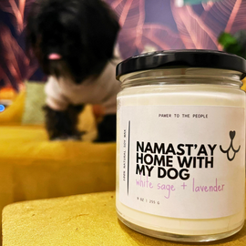 How to safely burn candles with dogs