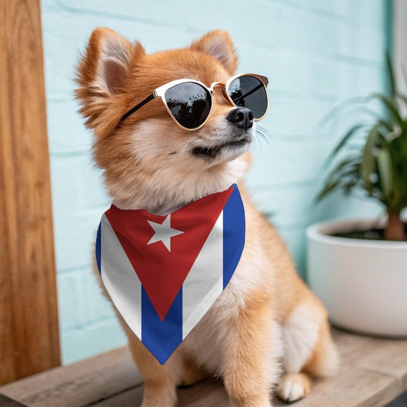Pet-friendly ways to celebrate Heritage Month - Pawer to the People