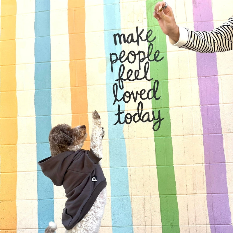 How to put on a dog hoodie the easy way