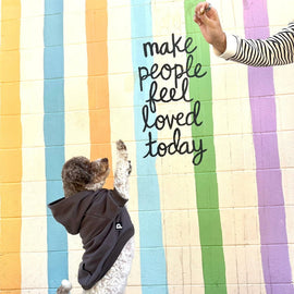 How to put on a dog hoodie the easy way