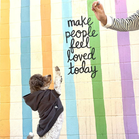 How to put on a dog hoodie the easy way