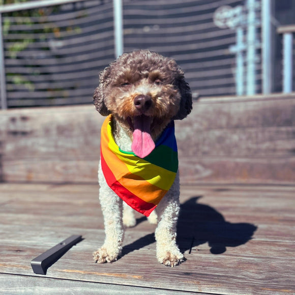 The benefits of bandanas (and making the most of them)