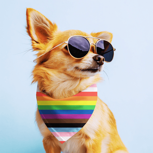 What your dog's bandana style says about them - Pawer to the People