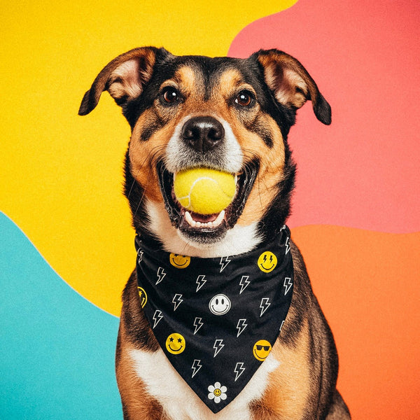 Good vibes bandana • Pawer to the People