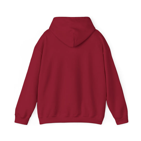 Hillman athletic dept. 1881 hoodie • Pawer to the People