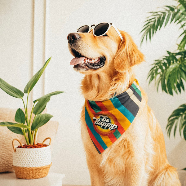Be happy bandana • Pawer to the People
