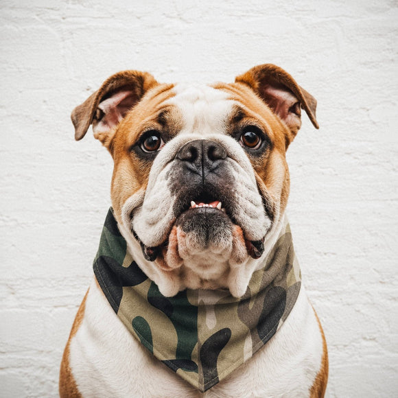 Camouflage cool 2-in-1 dog bandana • Pawer to the People