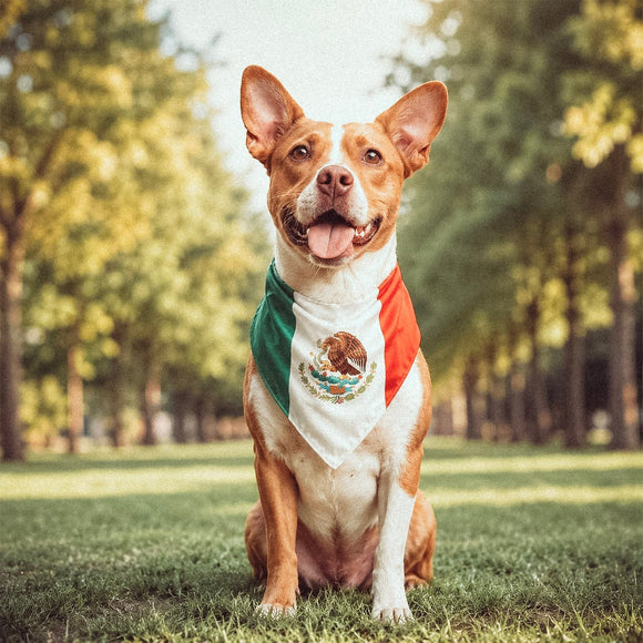 Mexican-American flag bandana • Pawer to the People