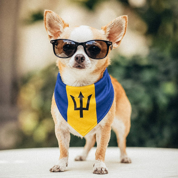 Barbadian-American flag bandana • Pawer to the People