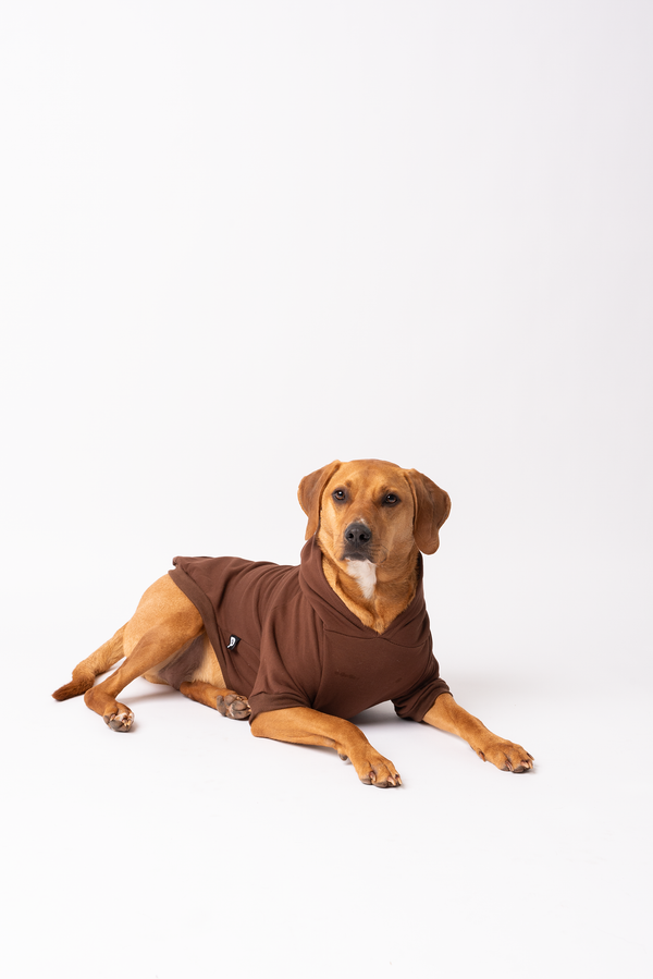 Bark dog hoodie (chocolate brown)