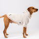 Dog wearing a gray-beige hoodie on a white background