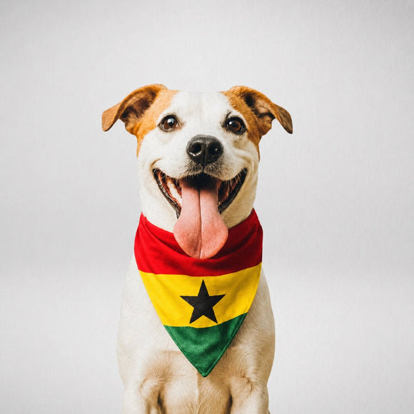 Ghanaian-American flag bandana • Pawer to the People