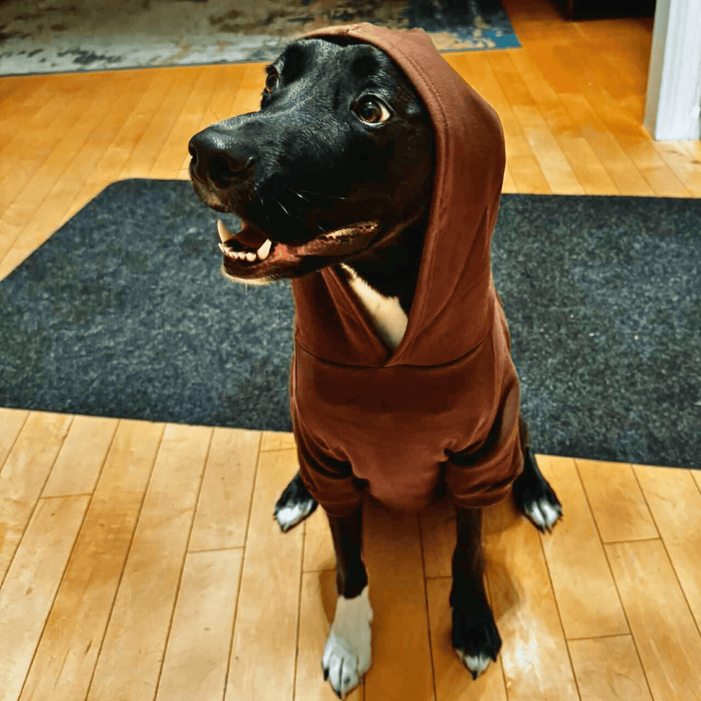 Bark dog hoodie (brown) • Pawer to the People