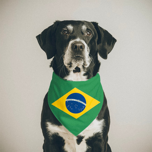 Brazilian-American flag bandana • Pawer to the People