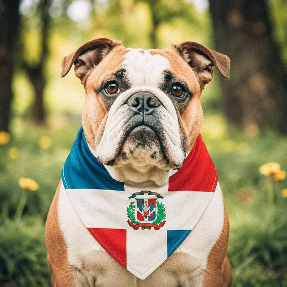 Dominican-American flag bandana • Pawer to the People