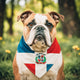 Dominican-American flag bandana • Pawer to the People