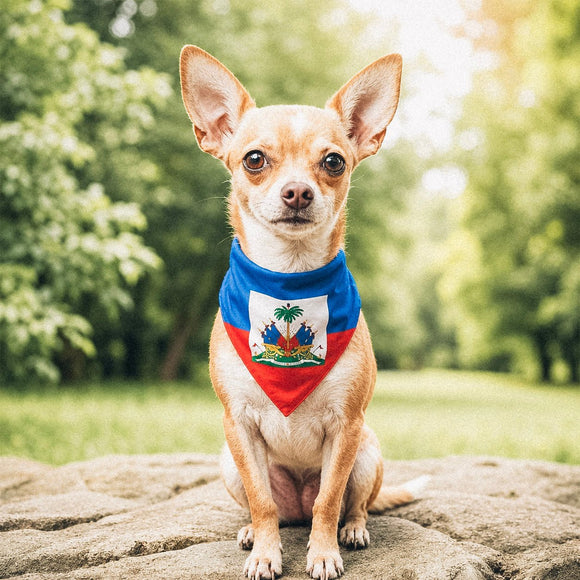 Haitian-American flag bandana • Pawer to the People