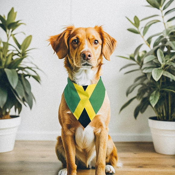 Jamaican-American flag bandana • Pawer to the People