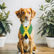 Jamaican-American flag bandana • Pawer to the People