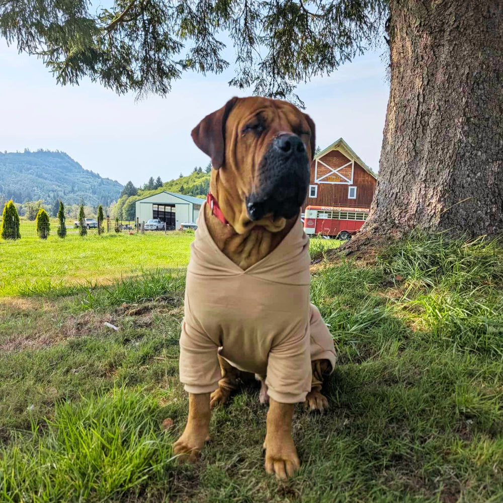 Sand dog hoodie (warm beige) • Pawer to the People