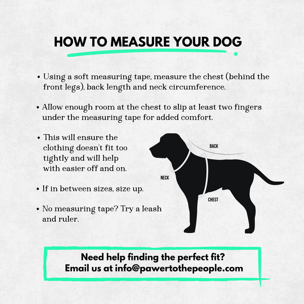 Instructions on how to measure a dog for clothing with a black silhouette of a dog and text on a white background.