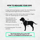 Instructions on how to measure a dog for clothing with a black silhouette of a dog and text on a white background.