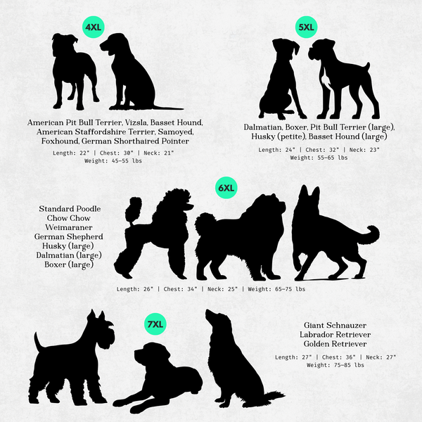 Chart showing silhouettes of dogs with size labels on a solid background