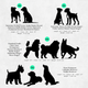 Chart showing silhouettes of dogs with size labels on a solid background
