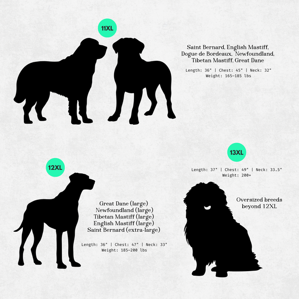 Silhouettes of extra large dogs with size labels on a solid background