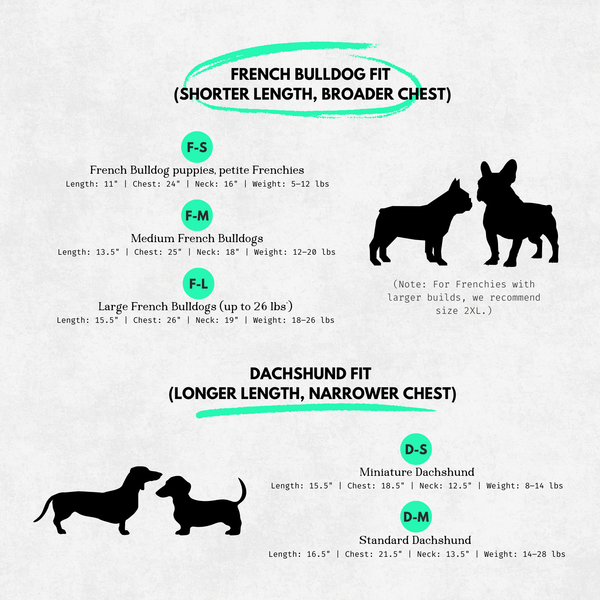 Dog coat size chart for French Bulldogs and Dachshunds on a solid background