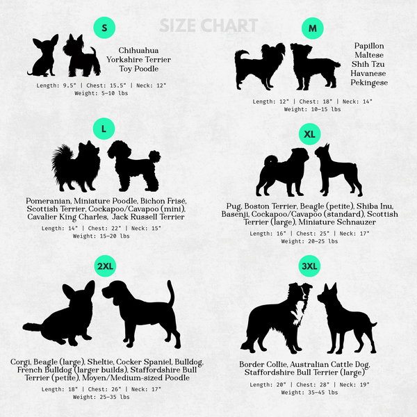Dog size chart with silhouettes of various breeds and their measurements.