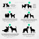 Dog size chart with silhouettes of various breeds and their measurements.