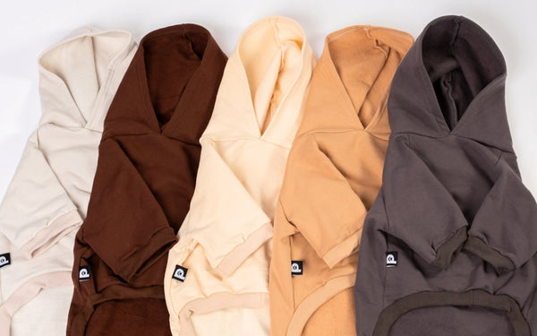 Dachshund dog hoodie • Pawer to the People